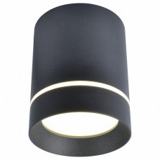Потолочный светильник Arte Lamp  A1909PL-1BK